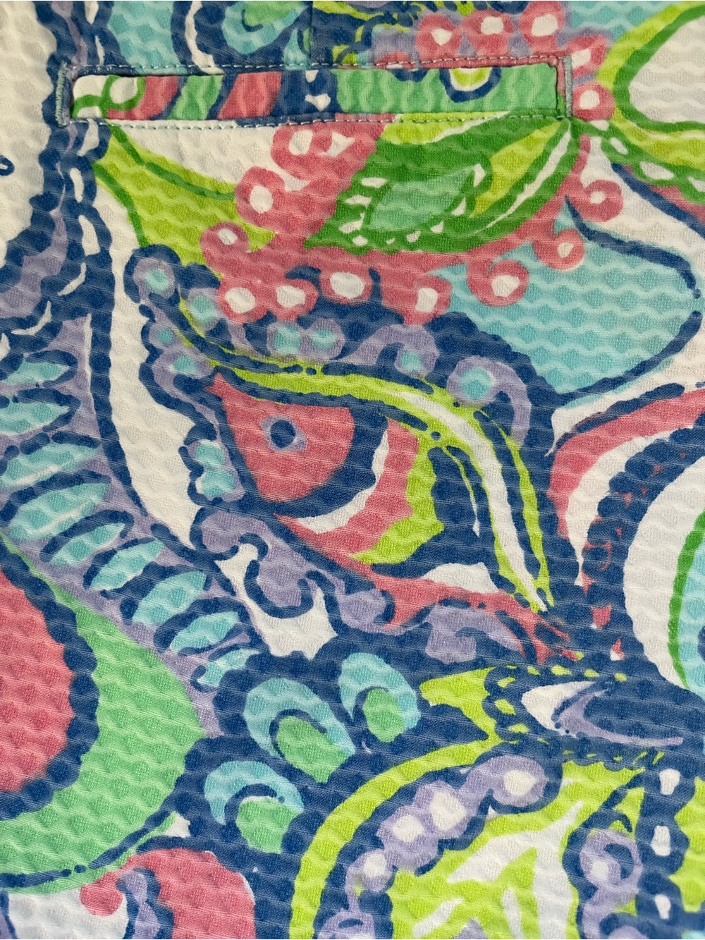 Lilly Pulitzer Paisley Print Shorts in Pink, Blue & Green - Picture 6 of 8